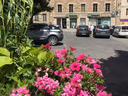 pontrieux centre grand t2 neuf 55m2 plein sud - paris en 3h par tgv