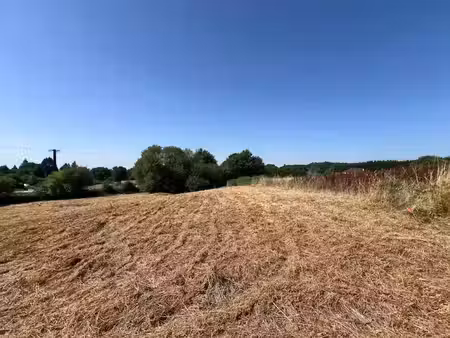 vente terrain 2243 m² à couzeix (87270)  66 000 €
