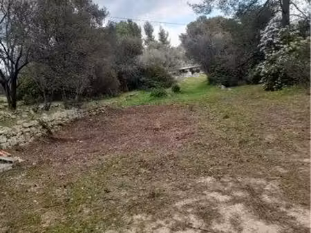 terrain location