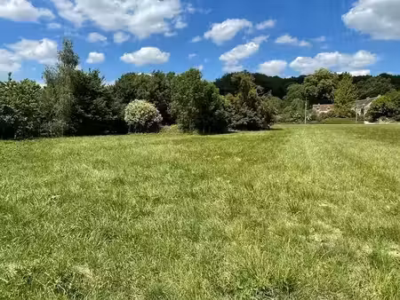 vente terrain 2381 m² à saint-martin-du-boschet (77320)  50 000 €
