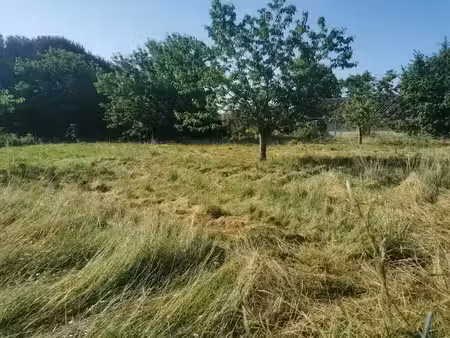 vente terrain 533 m² à saint-pardon-de-conques (33210)  50 000 €