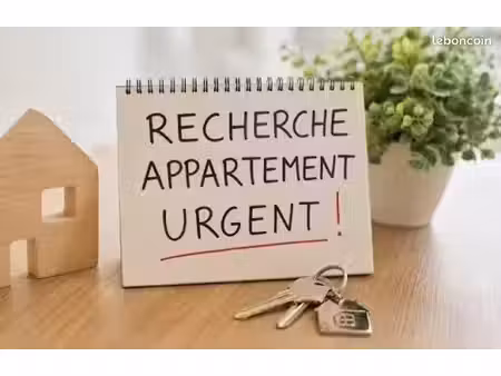 recherche appartement t3 en urgence