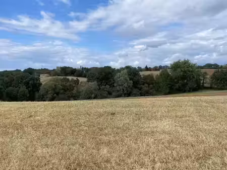 vente terrain 1302 m² à montfa (81210)  59 000 €