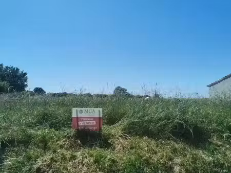 vente terrain 1388 m² à saint-pierre-de-mons (33210)  59 000 €