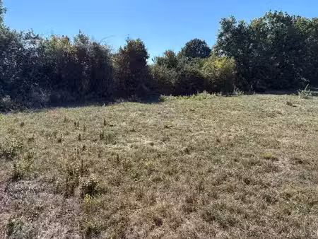 vente terrain 529 m² à soual (81580)  55 000 €