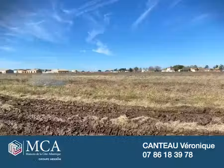 vente terrain 295 m² à saint-georges-de-didonne (17110)  62 000 €