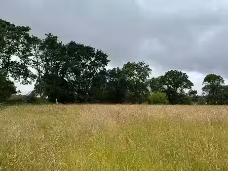 vente terrain 507 m² à dirinon (29460)  65 000 €