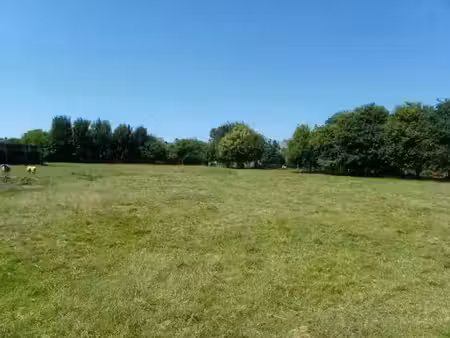 vente terrain 1525 m² à lugos (33830)  70 000 €