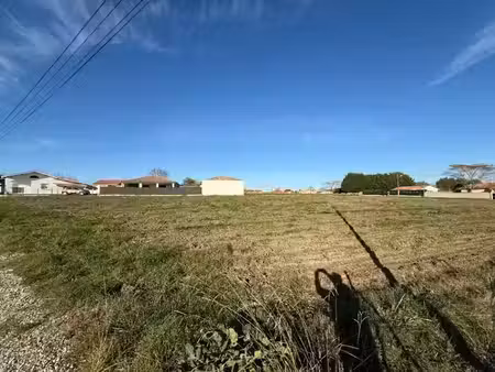 vente terrain 805 m² à cussac-fort-médoc (33460)  75 400 €