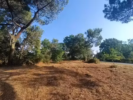 vente terrain 850 m² à martillac (33650)  199 000 €