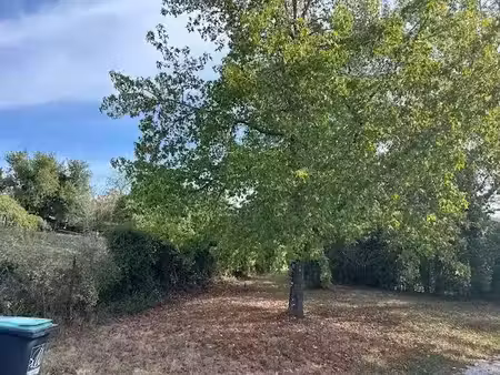 vente terrain 600 m² à la brède (33650)  190 000 €