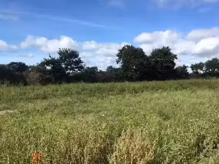 vente terrain 473 m² à guilers (29820)  85 000 €