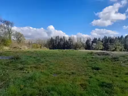 vente terrain 1001 m² à saint-andré-d'hébertot (14130)  87 700 €