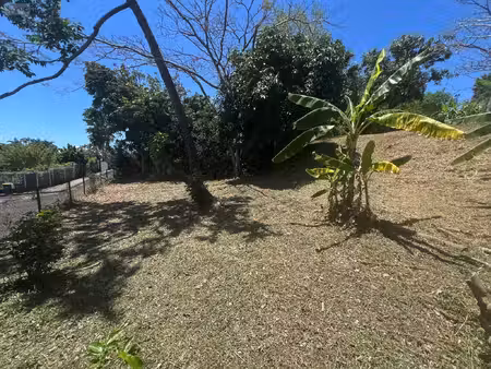 terrain à bâtir en vente la-montagne (97417)