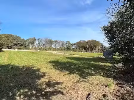 vente terrain 563 m² à saint-thonan (29800)  98 000 €