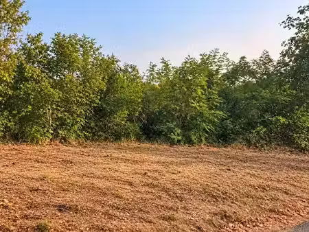 vente terrain 550 m² à avensan (33480)  105 000 €