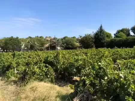 vente terrain 489 m² à vacqueyras (84190)  109 000 €