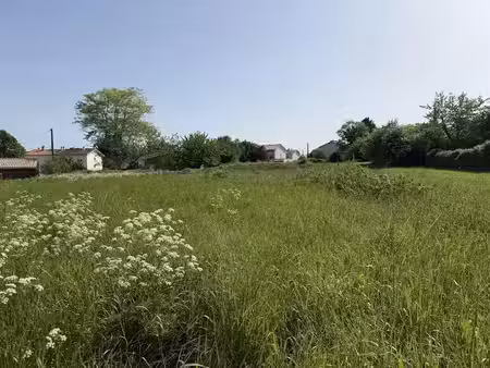 vente terrain à batir 3202 m² à blaye (33390)  150 000 €