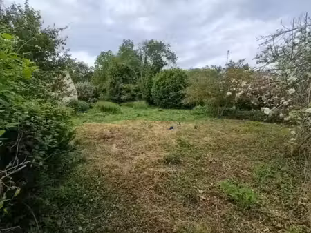vente terrain 1156 m² à milly-la-forêt (91490)  165 000 €