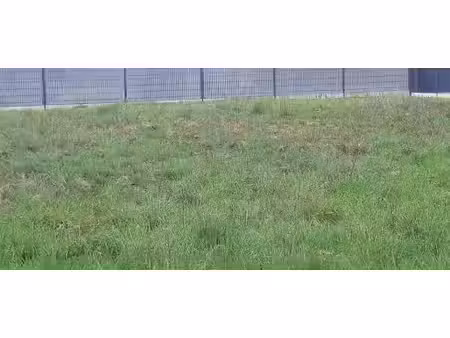 vente terrain 490 m² à lanton (33138)  190 000 €
