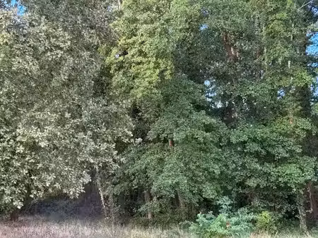 vente terrain 680 m² à audenge (33980)  185 000 €