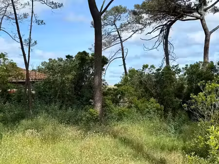 vente terrain 620 m² à lège-cap-ferret (33950)  210 000 €