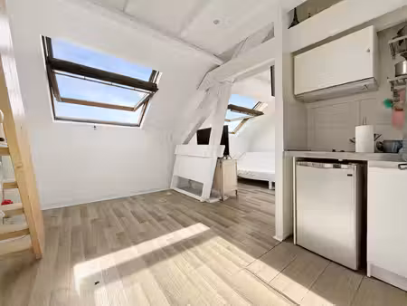 charmant 2 pièces atypique avec vue sur seine (37 m² au sol) - boulogne-billancourt