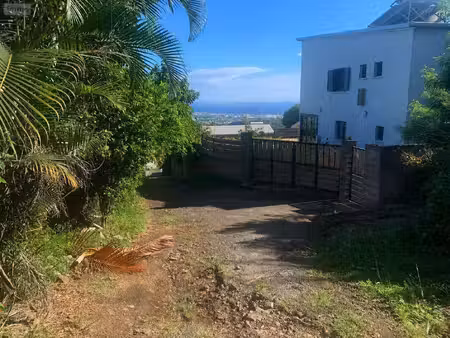 terrain à bâtir en vente bois-de-nefles-st-paul (97411)