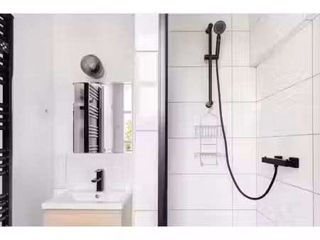 location meublée appartement 1 pièce 25 m² à paris 19ème (75019)  1 450 €