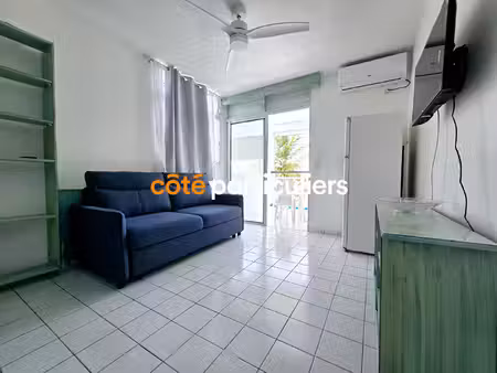 appartement le moule 1 pièce(s) 23 m2