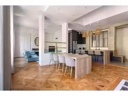 appartement bourgeois meublé avec vue rhône