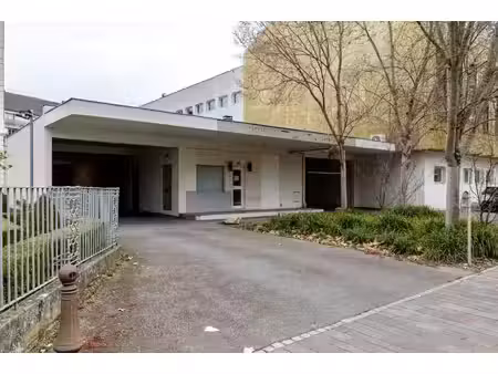 vente commerce 233m²