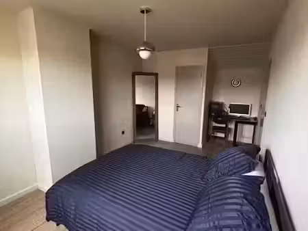 location meublée appartement 1 pièce 100 m² à le mans (72000)  500 €