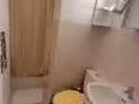 location meublée appartement 1 pièce 19 m² à toulouse (31000)  440 €