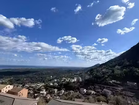 location appartement 3 pièces 65 m² à cervione (20221)  600 €