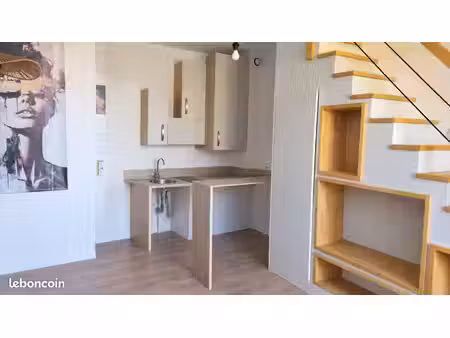 location petit duplex lyon 8