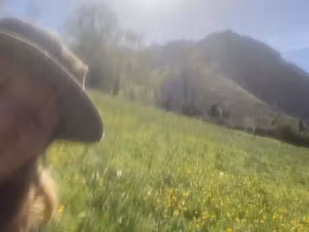 cherche maison avec local sur une ferme
