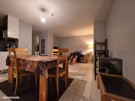studio 1 pièce 40 m²