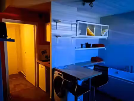 location meublée appartement 1 pièce 25 m² à strasbourg (67000)  650 €