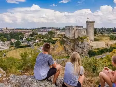 vente terrain à falaise (14700) : à vendre / 492m² falaise