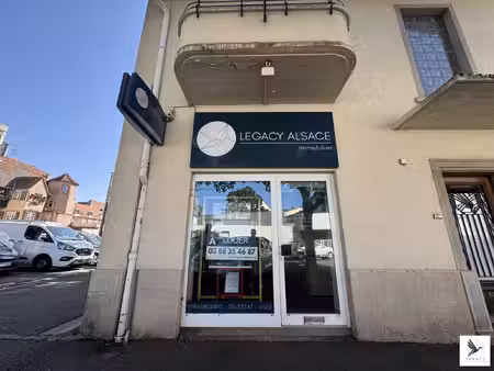immobilier professionnel à louer sélestat