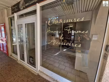 immobilier professionnel à vendre beaune