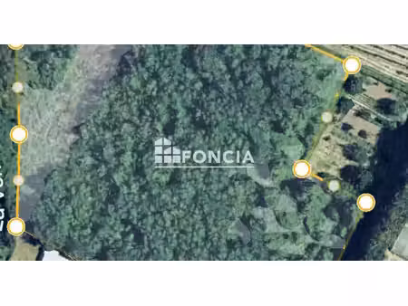 rare sur le secteur ! terrain d'agrément et agricole à gigean