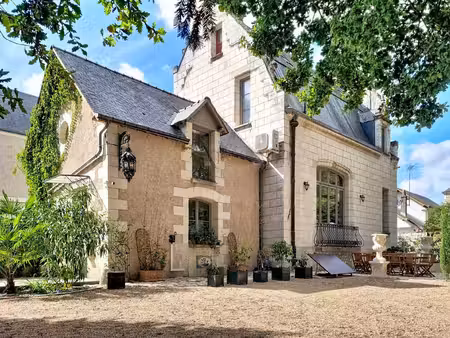 manoir de caractère au coeur de bléré