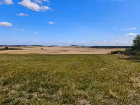 terrain à vendre de 1 771 00 m² huisseau en beauce (41)
