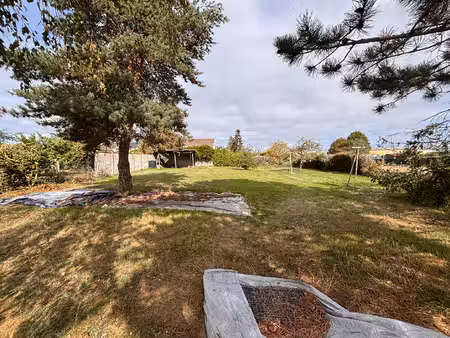 terrain muids 841 m2