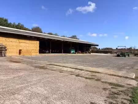 vente terrain à montaigu (85600) : à vendre / montaigu