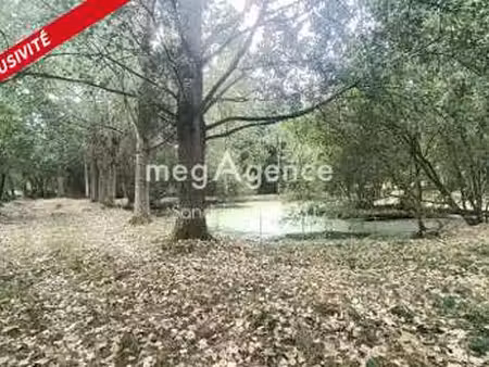 vente terrain à rives d'andaine (61140) : à vendre / 10100m² rives d'andaine