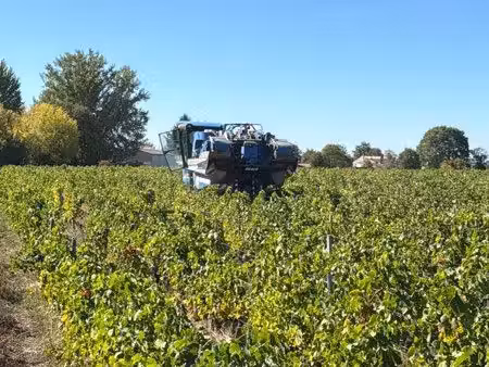 portets proche centre… au cœur des vignes
