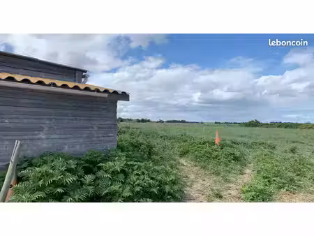 loue terrain pour chevaux